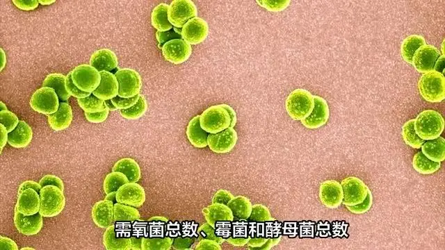 超聲耦合劑殘留物分析測試機(jī)構(gòu)